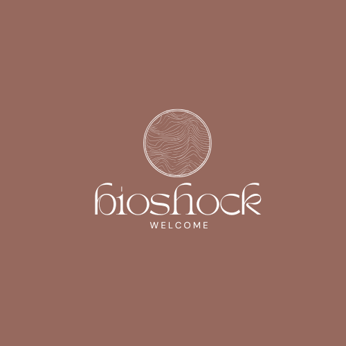 bioshock.shop